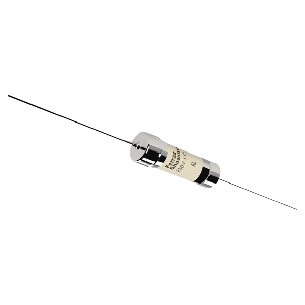 Mersen S205038 Miniature Fuse