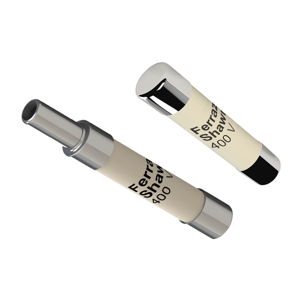 Mersen S098249 Miniature Fuse